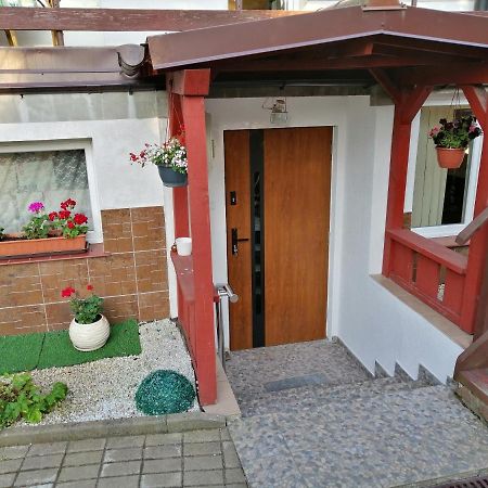 Apartament Przy Parku Malbork Exterior foto